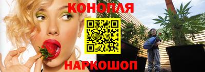 индика Волгодонск